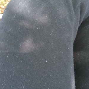 Meet your Posher, Bailey